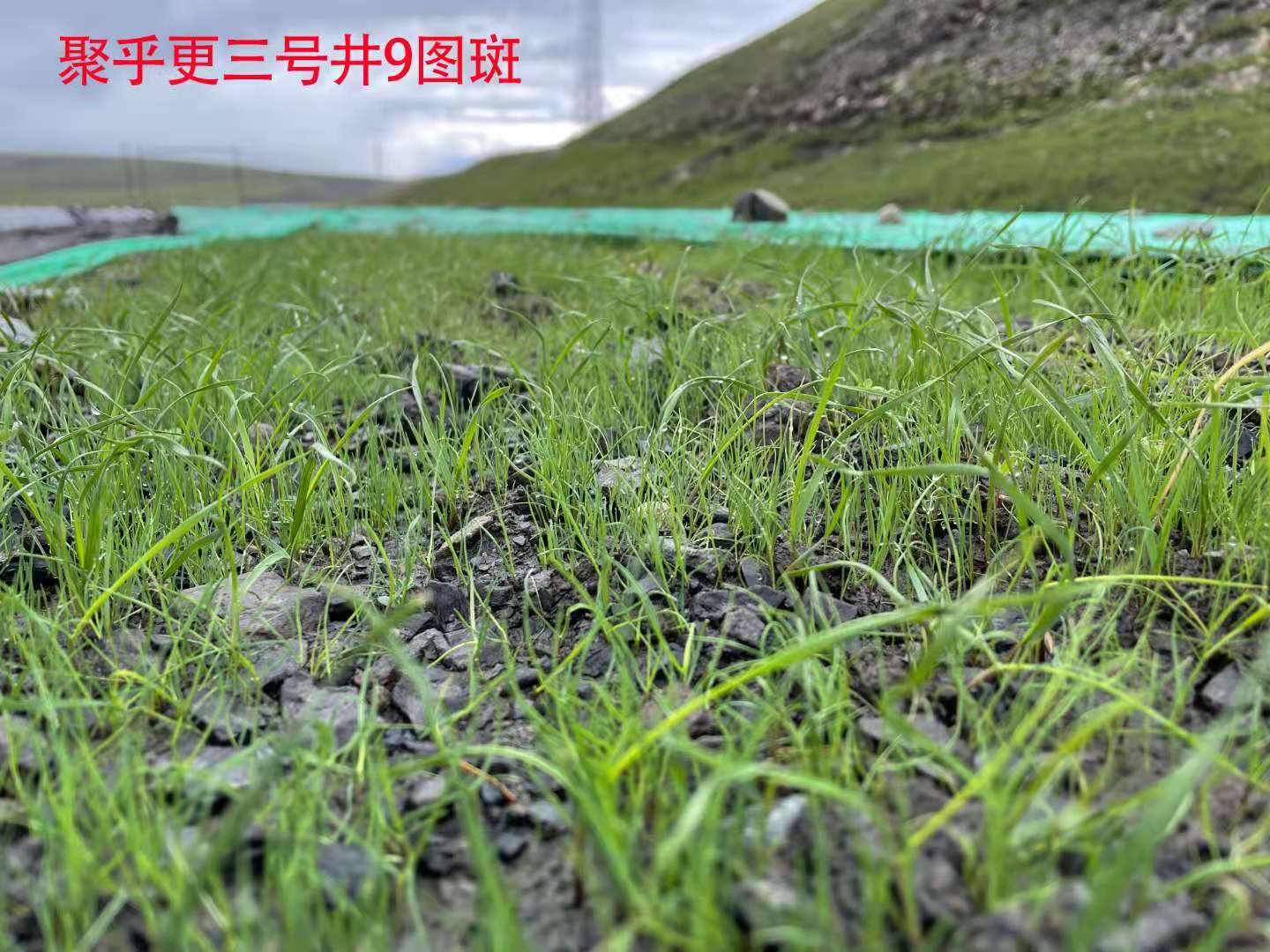 微信圖片_202107131923216.jpg